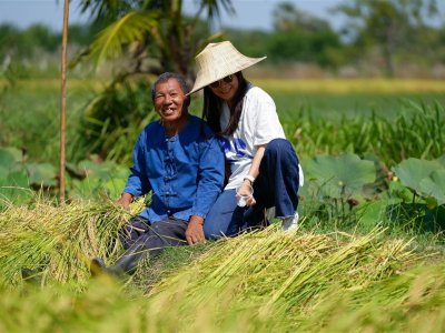 SS Rice News Convention 2025, Pattaya - Thailand